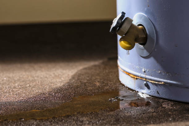 Best 24-hour water damage restoration  in Socastee, SC