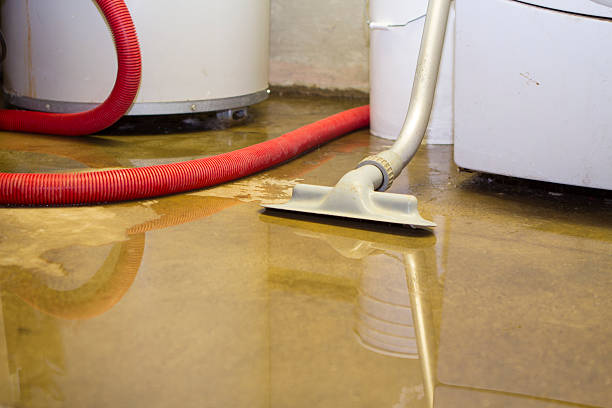 Best Local water damage restoration  in Socastee, SC