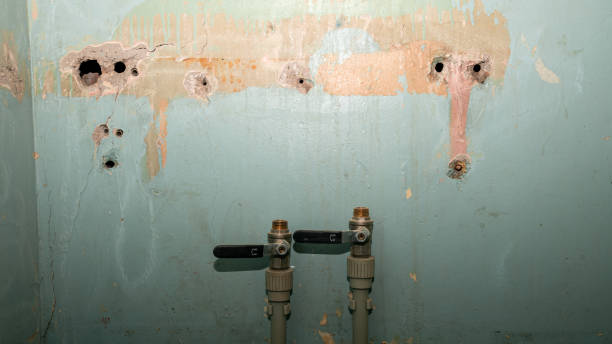 Best Flooded house restoration  in Socastee, SC